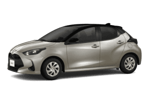 Blackxavant gardebronzemetallic