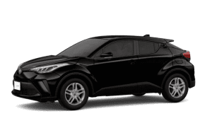 Black mica