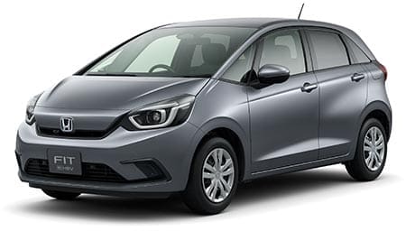 Shining Gray Metalic