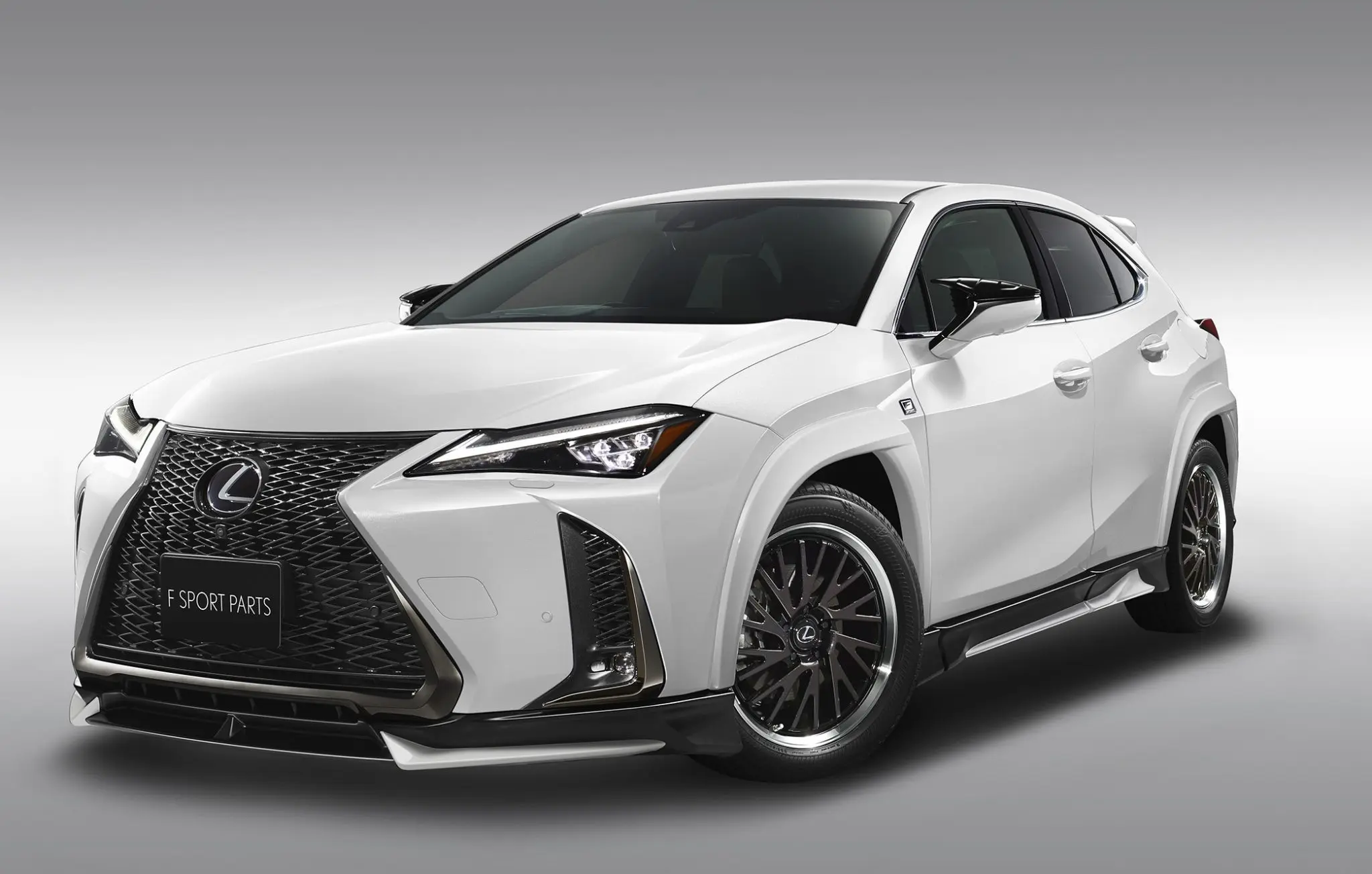 TRD BODY KIT FOR LEXUS UX200 F SPORT 2018.11~