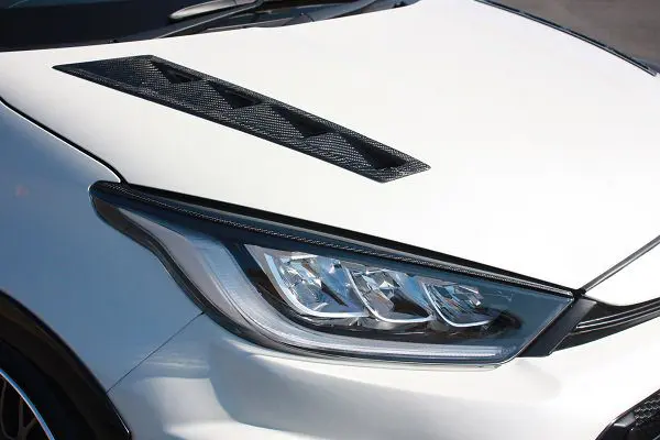 GARAGE VARY CARBON EYELID For GR YARIS/YARIS