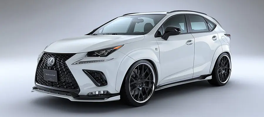 ARTISAN Sport Line Black Label Body kit for Lexus NX 300 2017-09~