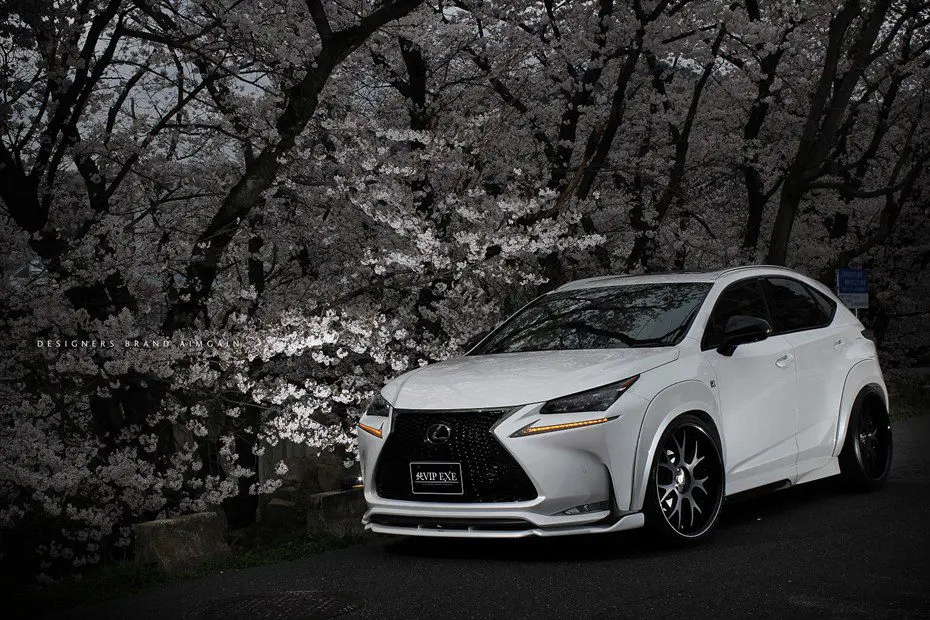 AIMGAIN VIP EXE Body kit for LEXUS NX200t/300h “F SPORT”