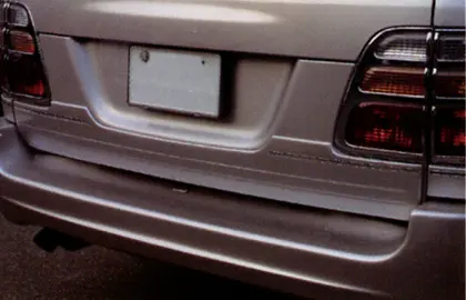 PRO-STAFF Rear Gate Panel for Land Cruiser 100