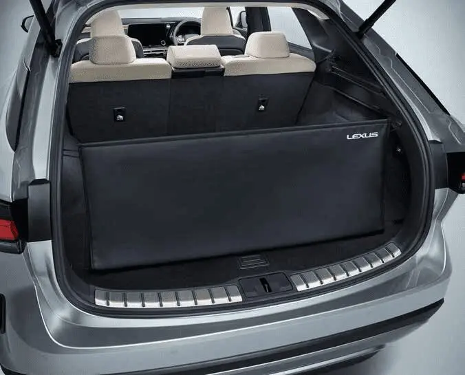 LEXUS GENUINE BACK DOOR OPENING GUARD for LEXUS RX 2022~