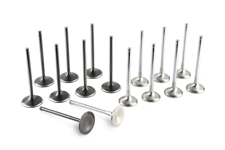 RSE Racing Valve Set FA20DIT