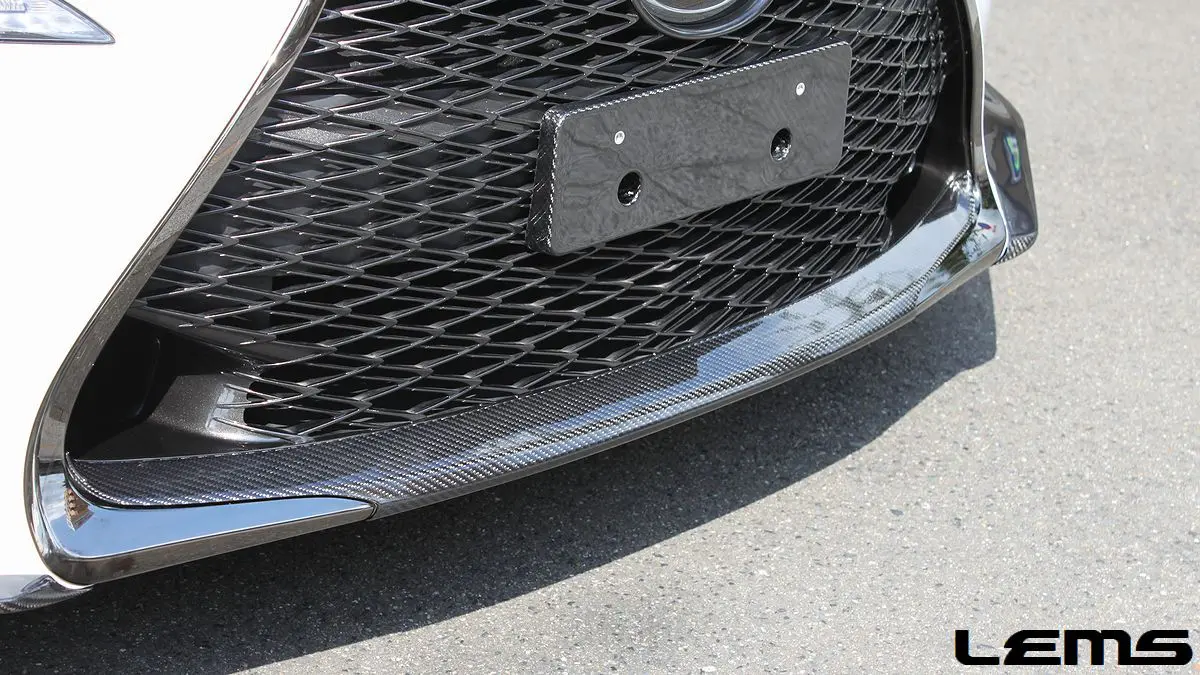 LEMS Dry Carbon Grille Mould Lower for Lexus RC F