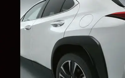 Lexus Genuine Door Edge Protector for Lexus UX300