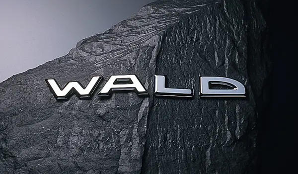 WALD SEPERATE EMBLEM