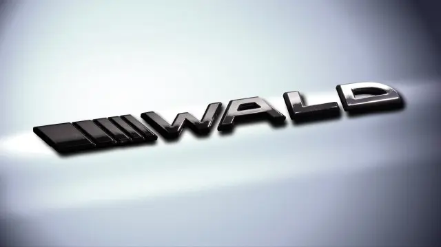 WALD BLACK SEPERATE SLASH EMBLEM