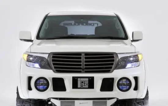 KADDIS Face Mask for Toyota Land Cruiser 200