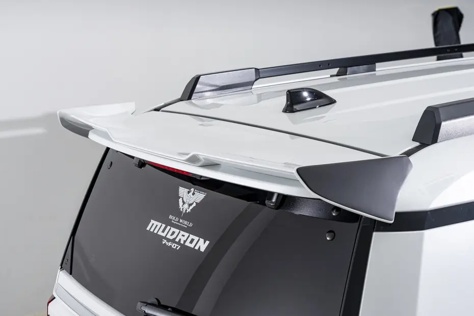 AIMGAIN REAR WING FOR LAND CRUISER 250