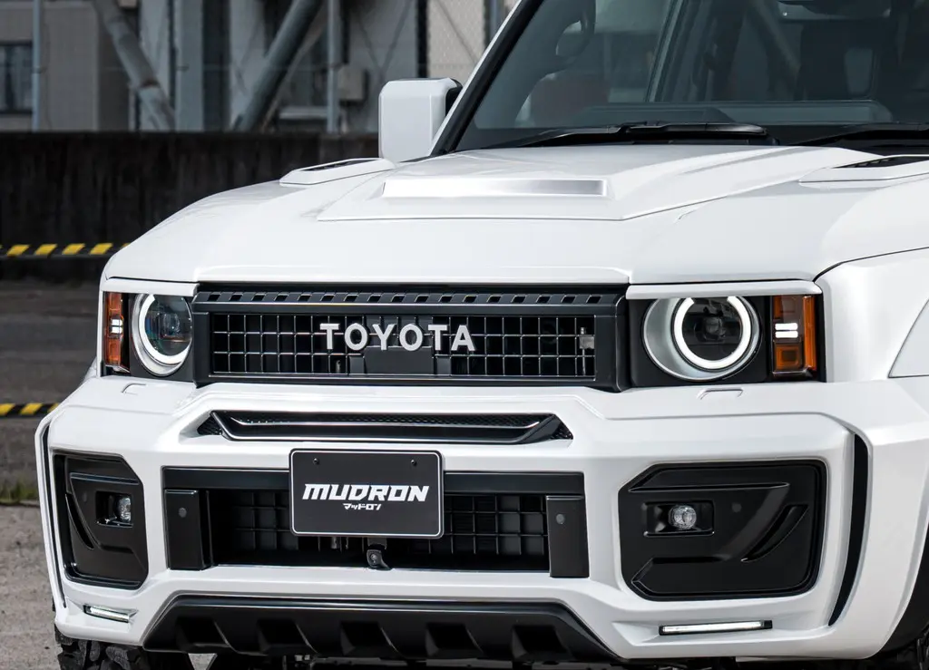 AIMGAIN EYELINERS FOR LAND CRUISER 250