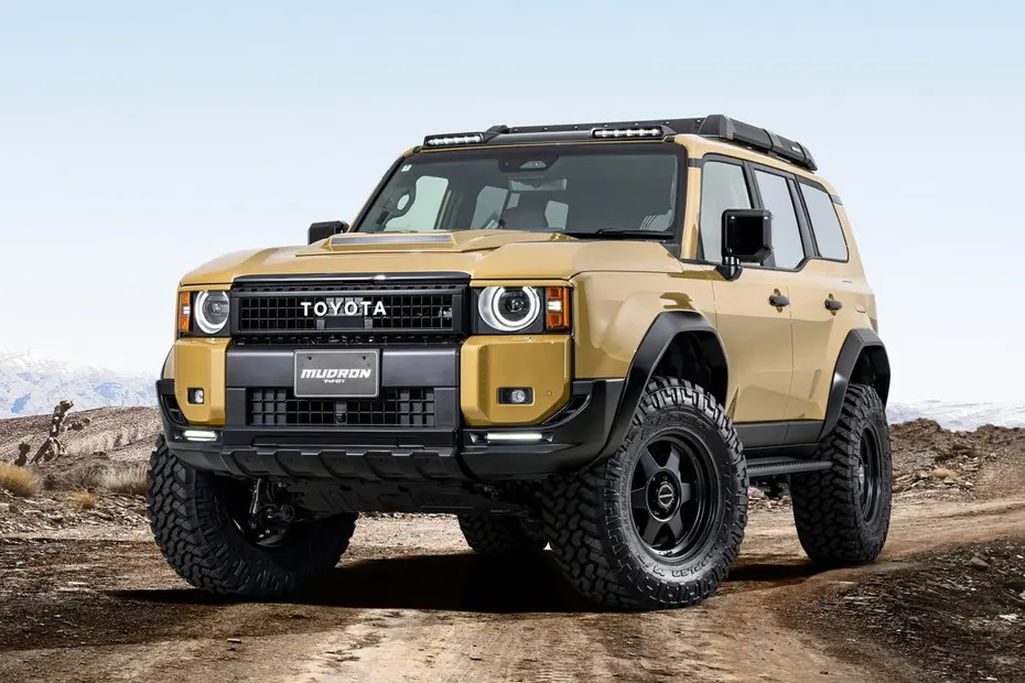 AIMGAIN MUDRON PORT FOR LAND CRUISER 250