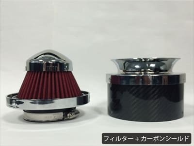 SATISFACTION Large Size Carbon Filter with Shield